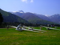 CVNE 004
